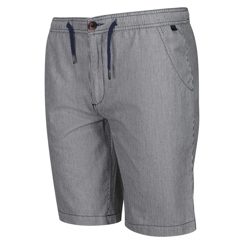 Regatta Albie Short De Marche Pour Homme - Bleu Clair 1 Regatta Albie Short De Marche Pour Homme - Bleu Clair