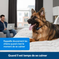 PetSafe ANTI ABOIEMENT SONORE RECHARGEABLE -Échappée Nature anti aboiement sonore rechargeable 2