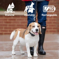 PetSafe ANTI ABOIEMENT SONORE RECHARGEABLE -Échappée Nature anti aboiement sonore rechargeable 3