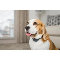 PetSafe ANTI ABOIEMENT SONORE RECHARGEABLE -Échappée Nature anti aboiement sonore rechargeable 6