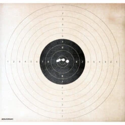 BALLE SANS PLOMB SPEED CALIBRE 12 X 5 -Échappée Nature balle sans plomb speed calibre 12 x 5 6