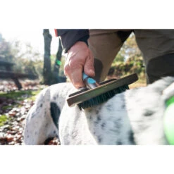 No Brand BROSSE DE MASSAGE POUR CHIEN -Échappée Nature brosse de massage pour chien 3