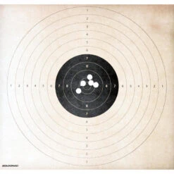 Cartouche Balle Slug 28gr CAL12/67 X10 13 Cartouche Balle Slug 28gr CAL12/67 X10 -Échappée Nature cartouche balle slug 28gr cal1267 x10 6