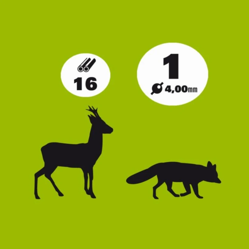 Cartouche Mary Arm Prestige Pb1 3 Cartouche Mary Arm Prestige Pb1 – Image 3