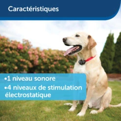 Clôture Anti-fugue Invisible Pour Chien Petsafe -Échappée Nature cloture anti fugue invisible pour chien petsafe 8