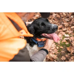 Collier Anti-aboiement Pour Chien Num'axes Canicalm Premium -Échappée Nature collier anti aboiement pour chien numaxes canicalm premium 2