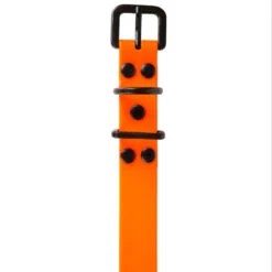 Collier Chien Orange Fluo 500 -Échappée Nature collier chien orange fluo 500 7