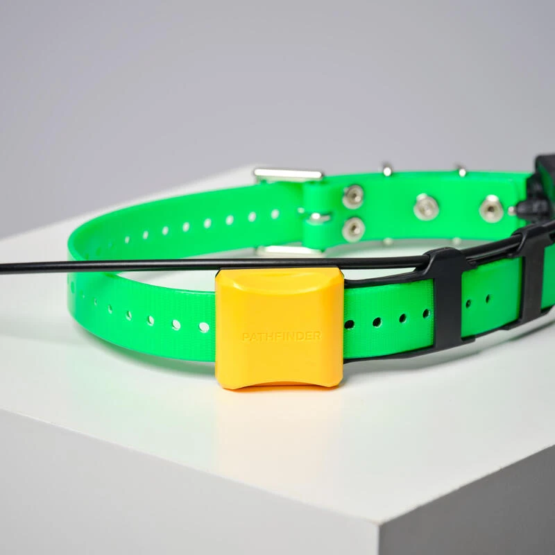 COLLIER SUPPLEMENTAIRE REPERAGE & DRESSAGE DOGTRA PATHFINDER V2. 7 COLLIER SUPPLEMENTAIRE REPERAGE & DRESSAGE DOGTRA PATHFINDER V2. – Image 7