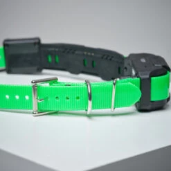 Collier Supplémentaire Repérage Et Dressage Pour Chien Dogtra Pathfinder 10 Collier Supplémentaire Repérage Et Dressage Pour Chien Dogtra Pathfinder -Échappée Nature collier supplementaire reperage et dressage pour chien dogtra pathfinder 2