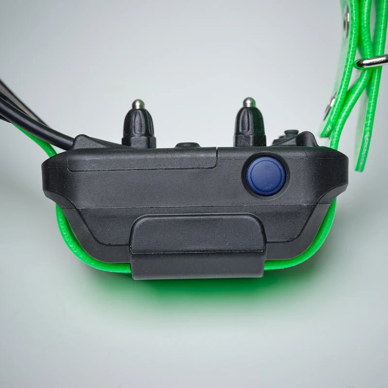 Collier Supplémentaire Repérage Et Dressage Pour Chien Dogtra Pathfinder 7 Collier Supplémentaire Repérage Et Dressage Pour Chien Dogtra Pathfinder – Image 7