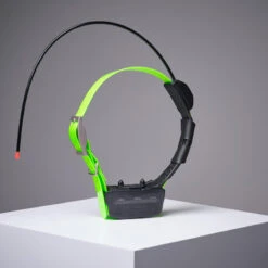 Collier Supplémentaire Repérage Et Dressage Pour Chien Garmin TT15X