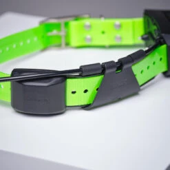 Collier Supplémentaire Repérage Et Dressage Pour Chien Garmin TT15X -Échappée Nature collier supplementaire reperage et dressage pour chien garmin tt15x 5