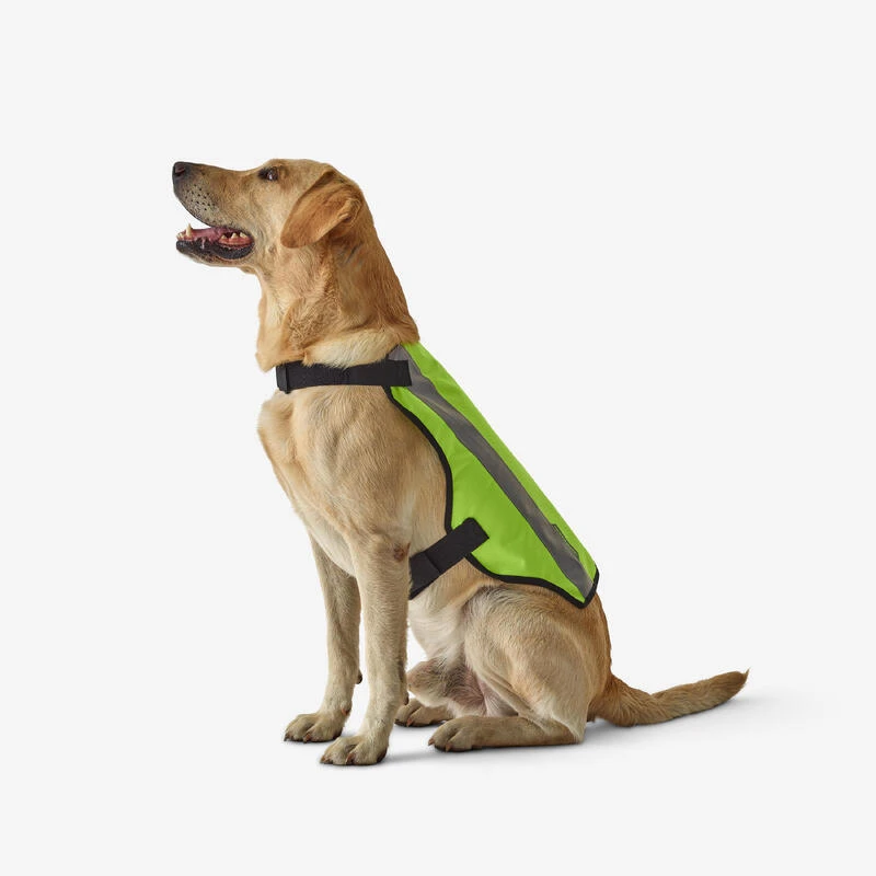 GILET CHIEN CHASSE JAUNE 100 2 GILET CHIEN CHASSE JAUNE 100 – Image 2