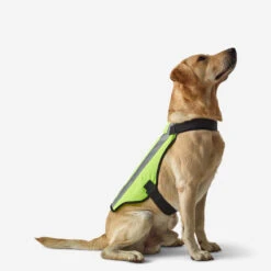 GILET CHIEN CHASSE JAUNE 100 9 GILET CHIEN CHASSE JAUNE 100 -Échappée Nature gilet chien chasse jaune 100 2