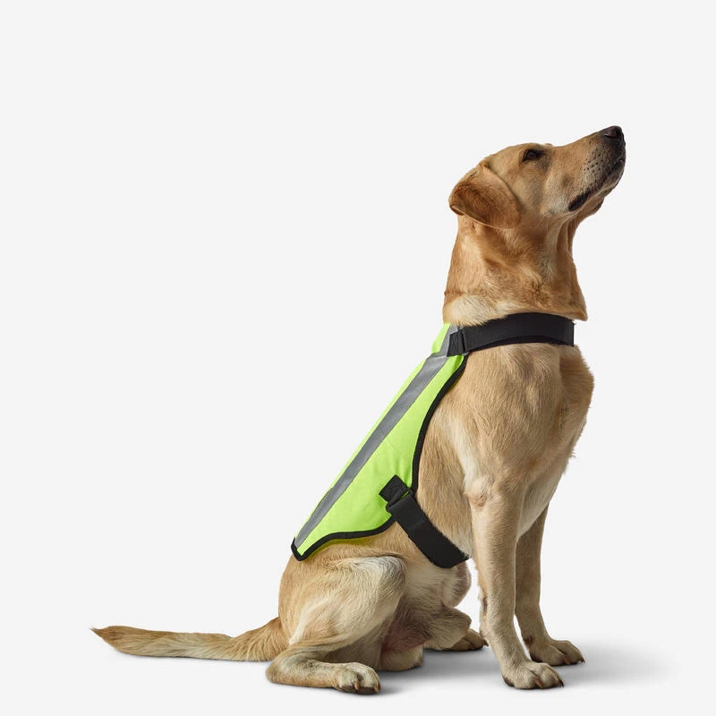 GILET CHIEN CHASSE JAUNE 100 3 GILET CHIEN CHASSE JAUNE 100 – Image 3