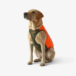 Gilet De Protection Pour Chien Supertrack -Échappée Nature gilet de protection pour chien supertrack 3