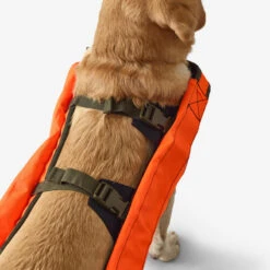 Gilet De Protection Pour Chien Supertrack -Échappée Nature gilet de protection pour chien supertrack 4