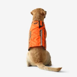 Gilet De Protection Pour Chien Supertrack -Échappée Nature gilet de protection pour chien supertrack 5