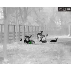 HikMicro Monoculaire De Vision Thermique Hik Micro Lynx Pro LE10 16 HikMicro Monoculaire De Vision Thermique Hik Micro Lynx Pro LE10 -Échappée Nature monoculaire de vision thermique hik micro lynx pro le10 6