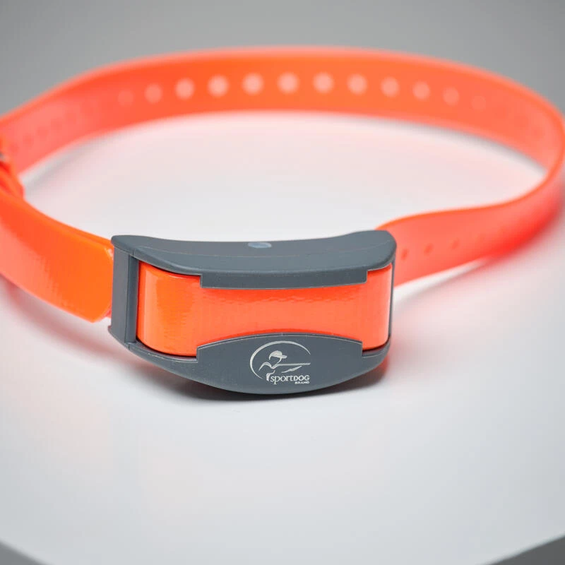 Pack Collier + Télécommande De Dressage Pour Chien Sportdog SD-875 4 Pack Collier + Télécommande De Dressage Pour Chien Sportdog SD-875 – Image 4