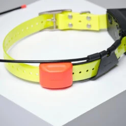 PACK COLLIER + TÉLÉCOMMANDE DE REPÉRAGE/DRESSAGE CHIEN GARMIN ALPHA 200 T5X -Échappée Nature pack collier telecommande de reperagedressage chien garmin alpha 200 t5x 7
