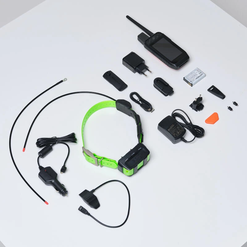 PACK COLLIER + TÉLÉCOMMANDE DE REPÉRAGE/DRESSAGE CHIEN GARMIN ALPHA 200 TT15X 3 PACK COLLIER + TÉLÉCOMMANDE DE REPÉRAGE/DRESSAGE CHIEN GARMIN ALPHA 200 TT15X – Image 3