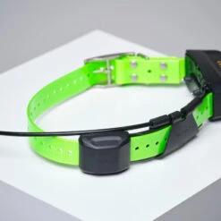 PACK COLLIER + TÉLÉCOMMANDE DE REPÉRAGE/DRESSAGE CHIEN GARMIN ALPHA 200 TT15X 17 PACK COLLIER + TÉLÉCOMMANDE DE REPÉRAGE/DRESSAGE CHIEN GARMIN ALPHA 200 TT15X -Échappée Nature pack collier telecommande de reperagedressage chien garmin alpha 200 tt15x 7