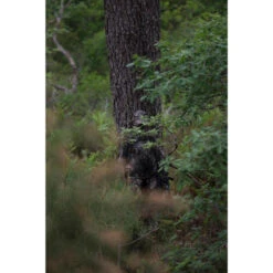 VESTE FEMME CHASSE SILENCIEUSE RESPIRANTE CAMOUFLAGE 500 -Échappée Nature veste femme chasse silencieuse respirante camouflage 500 5